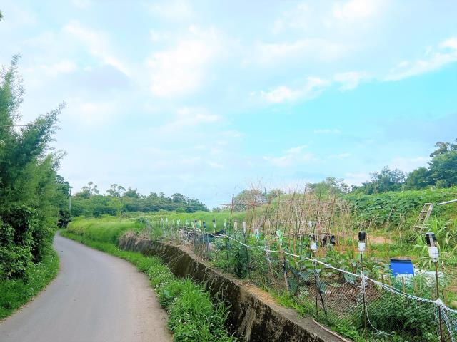 楊梅農地-4