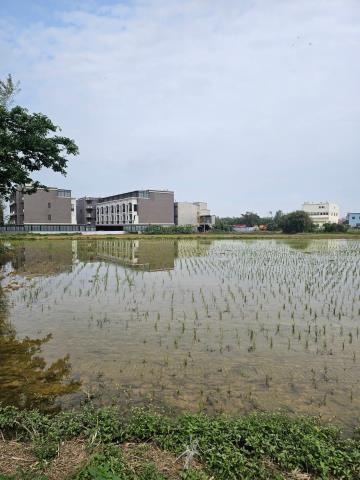 桃園新屋農地-0