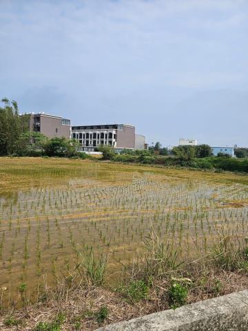 桃園新屋農地-3