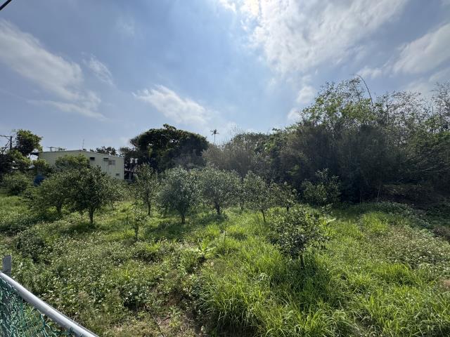 桃園中壢農地-3