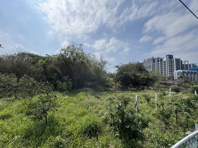 桃園中壢農地-4
