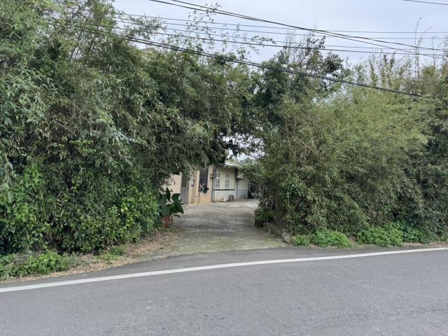 桃園大園建地-2