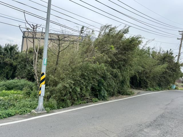桃園大園建地-3