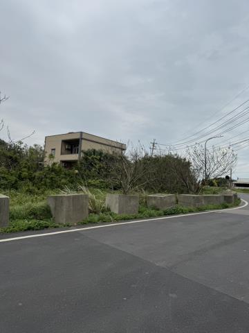 桃園大園建地-4