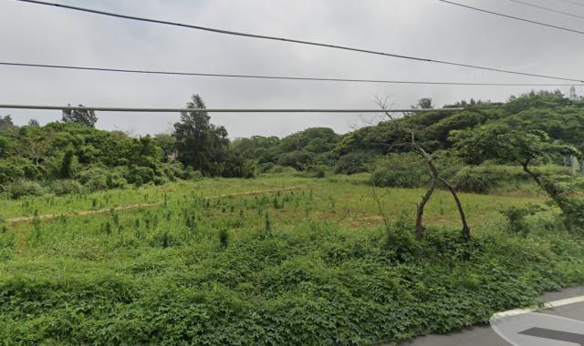 桃園農地-2