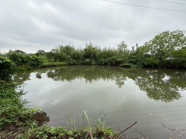 桃園農地-4