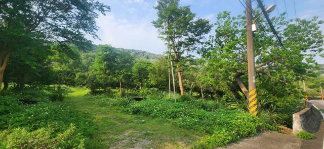 新竹湖口農地-3