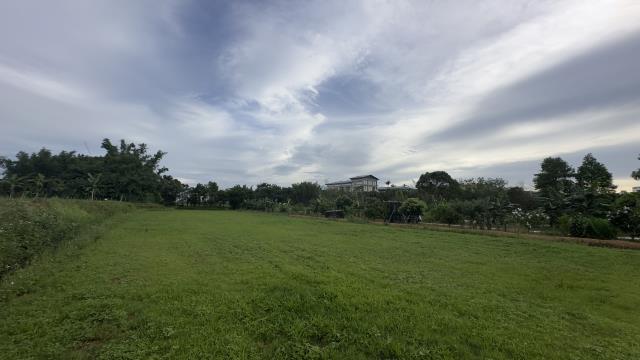 桃園中壢農地-0