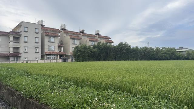 桃園中壢農地-2