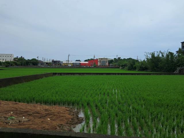 桃園蘆竹農地-0