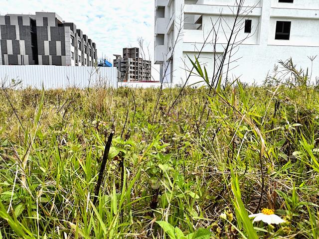 桃園觀音建地-3