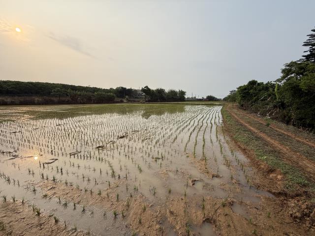 中壢農地-0