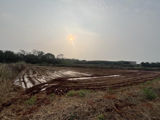 中壢農地-2