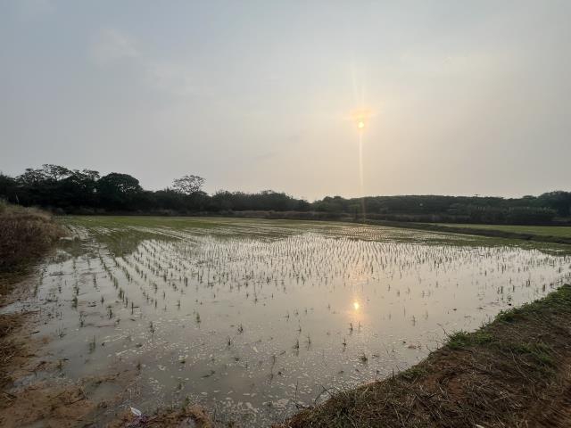中壢農地-3