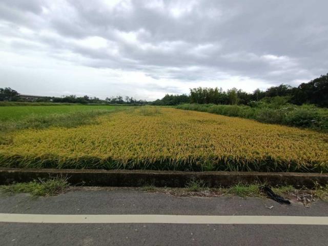 桃園農地-0