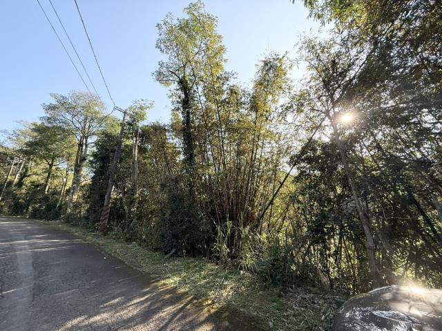 桃園楊梅建地-0